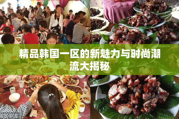 精品韩国一区的新魅力与时尚潮流大揭秘
