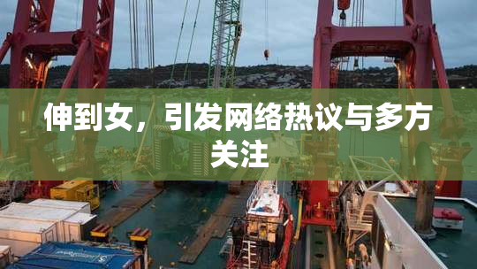 伸到女，引发网络热议与多方关注