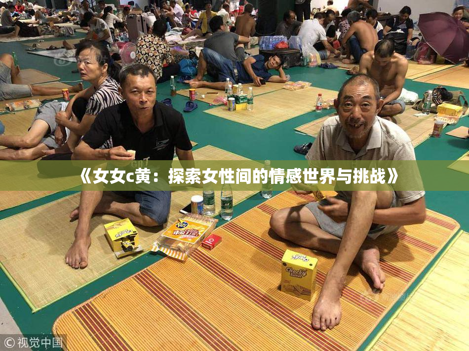 《女女c黄：探索女性间的情感世界与挑战》