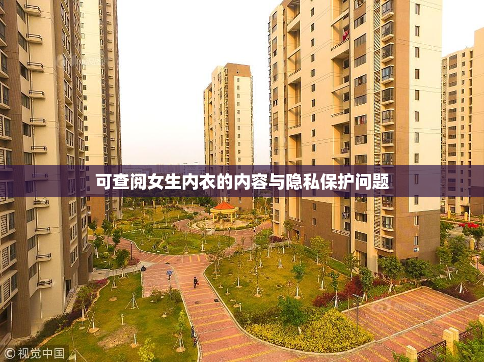 可查阅女生内衣的内容与隐私保护问题