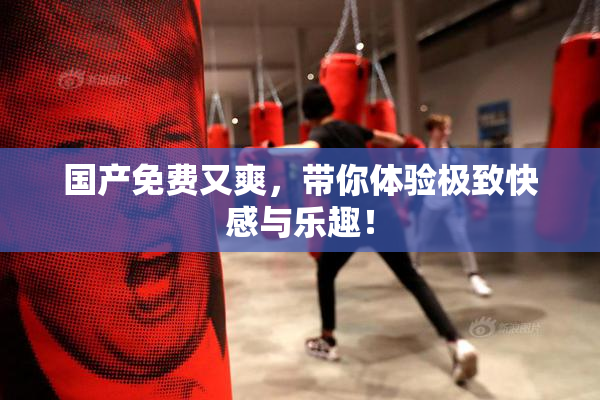 国产免费又爽，带你体验极致快感与乐趣！