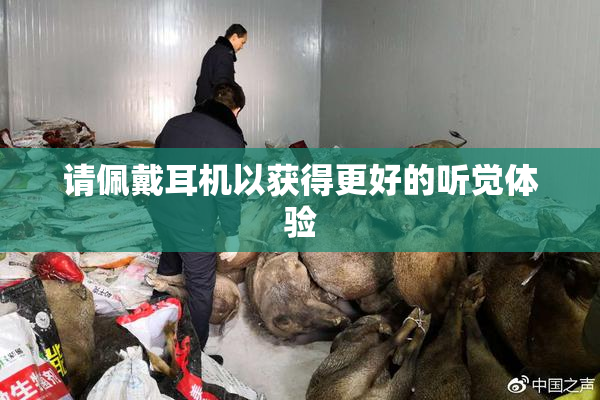 请佩戴耳机以获得更好的听觉体验