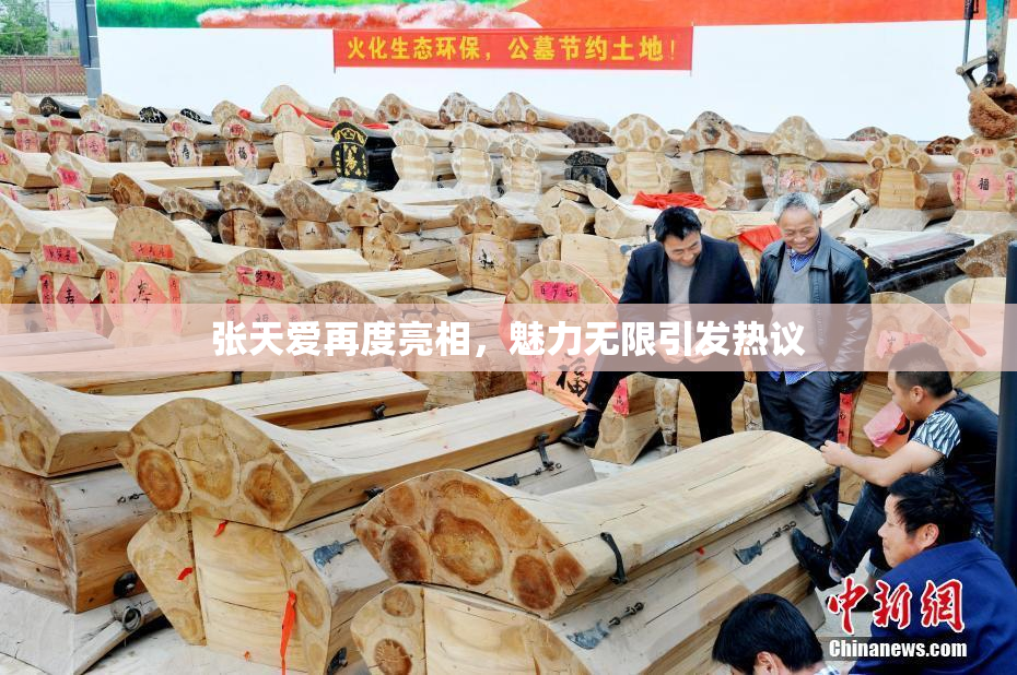 张天爱再度亮相，魅力无限引发热议