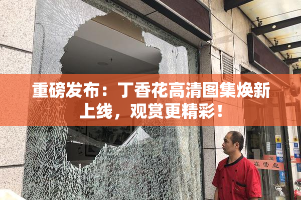 重磅发布：丁香花高清图集焕新上线，观赏更精彩！