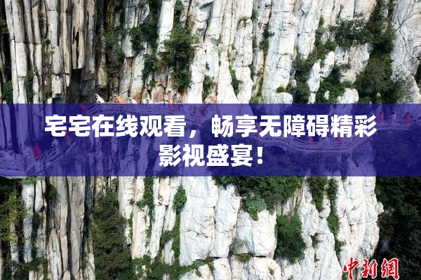 宅宅在线观看，畅享无障碍精彩影视盛宴！