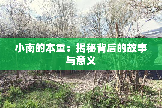 小南的本重：揭秘背后的故事与意义