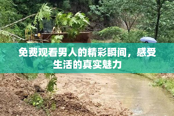 免费观看男人的精彩瞬间，感受生活的真实魅力