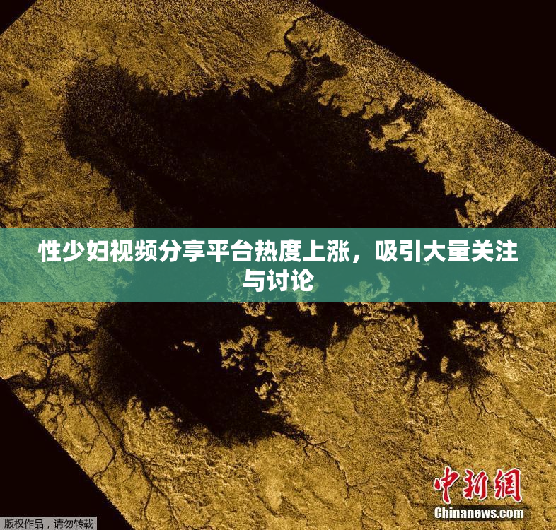 性少妇视频分享平台热度上涨，吸引大量关注与讨论