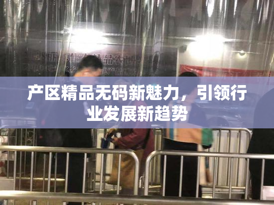 产区精品无码新魅力，引领行业发展新趋势