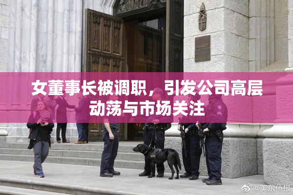 女董事长被调职，引发公司高层动荡与市场关注