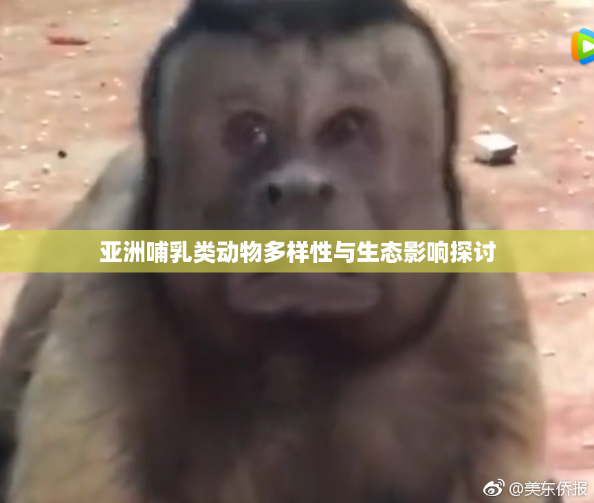 亚洲哺乳类动物多样性与生态影响探讨