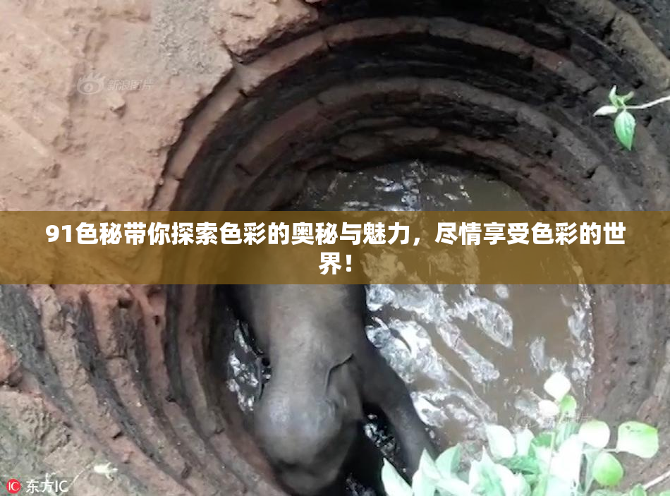 91色秘带你探索色彩的奥秘与魅力，尽情享受色彩的世界！