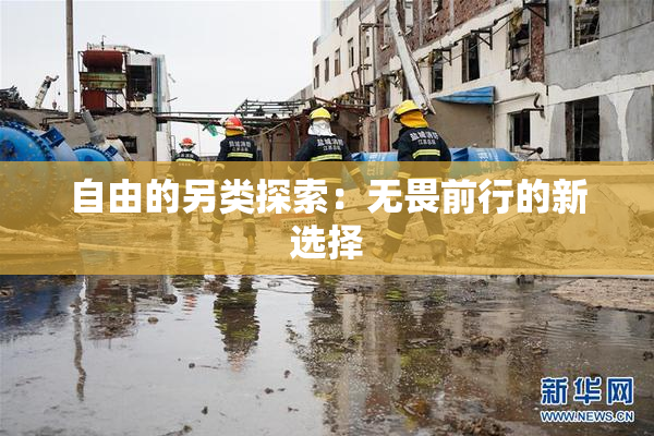 自由的另类探索：无畏前行的新选择