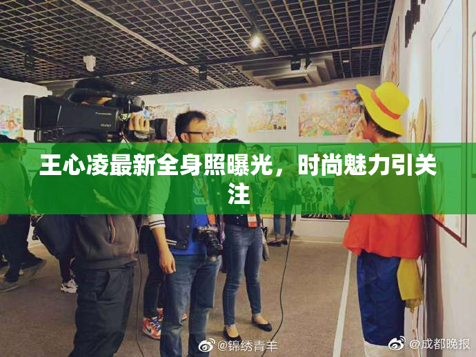 王心凌最新全身照曝光，时尚魅力引关注