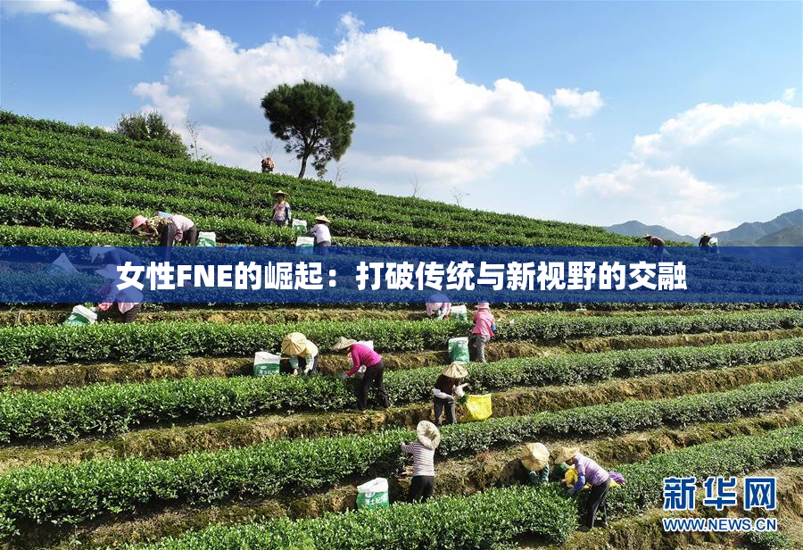 女性FNE的崛起：打破传统与新视野的交融
