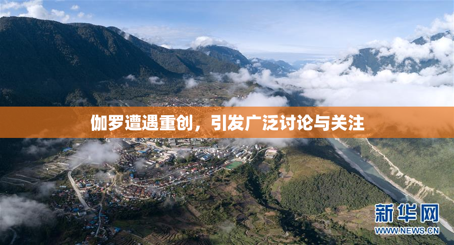伽罗遭遇重创，引发广泛讨论与关注
