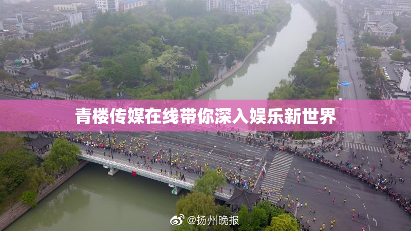 青楼传媒在线带你深入娱乐新世界