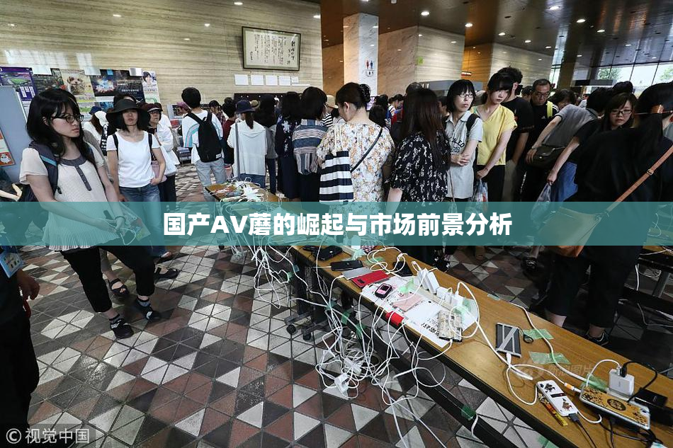 国产AV蘑的崛起与市场前景分析