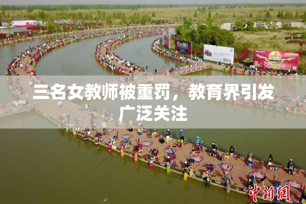 三名女教师被重罚，教育界引发广泛关注