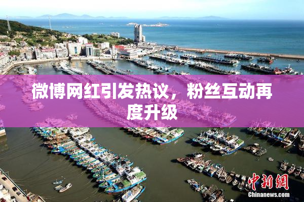 微博网红引发热议，粉丝互动再度升级