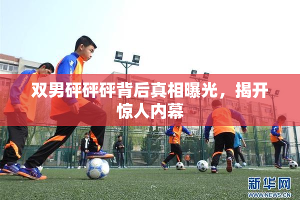 双男砰砰砰背后真相曝光，揭开惊人内幕