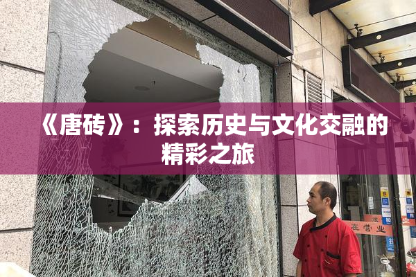 《唐砖》：探索历史与文化交融的精彩之旅