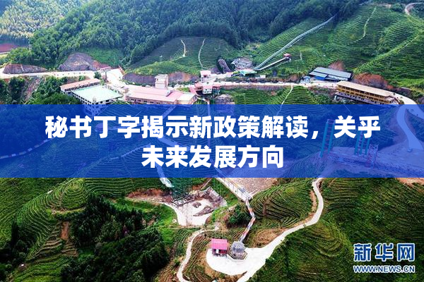 秘书丁字揭示新政策解读，关乎未来发展方向