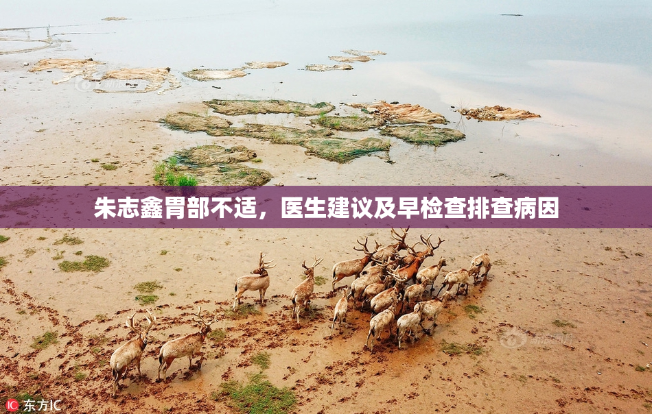 朱志鑫胃部不适，医生建议及早检查排查病因