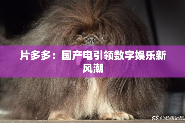 片多多：国产电引领数字娱乐新风潮