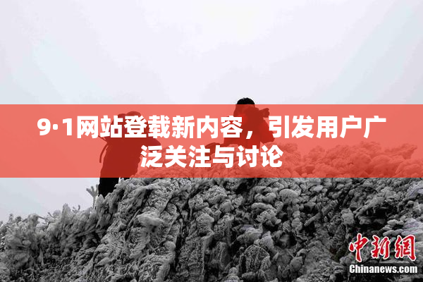 9·1网站登载新内容，引发用户广泛关注与讨论