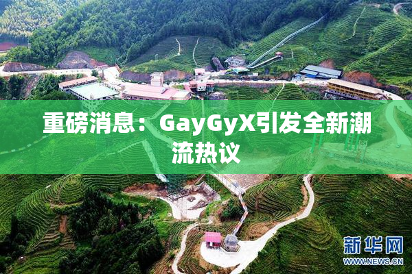 重磅消息：GayGyX引发全新潮流热议