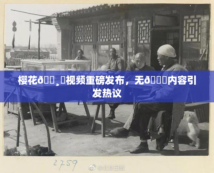 樱花🌸‌视频重磅发布，无🈚内容引发热议