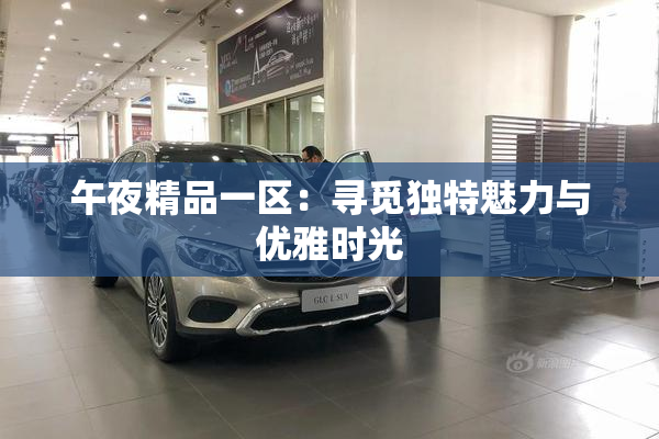 午夜精品一区：寻觅独特魅力与优雅时光