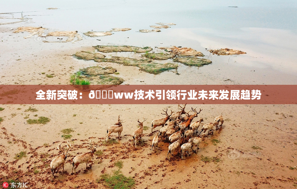 全新突破：🔞ww技术引领行业未来发展趋势