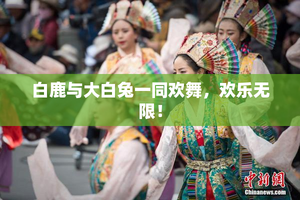 白鹿与大白兔一同欢舞，欢乐无限！