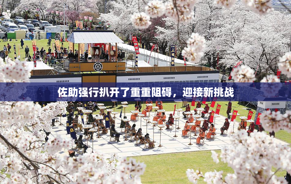 佐助强行扒开了重重阻碍，迎接新挑战