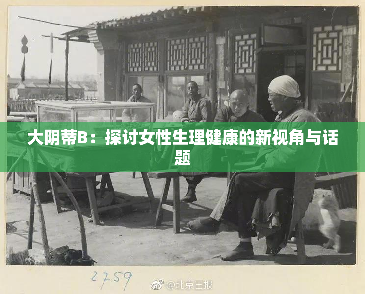 大阴蒂B：探讨女性生理健康的新视角与话题