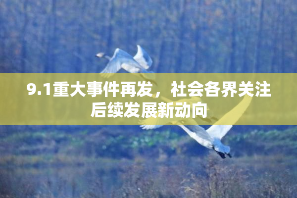 9.1重大事件再发，社会各界关注后续发展新动向