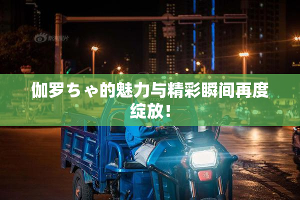 伽罗ちゃ的魅力与精彩瞬间再度绽放！
