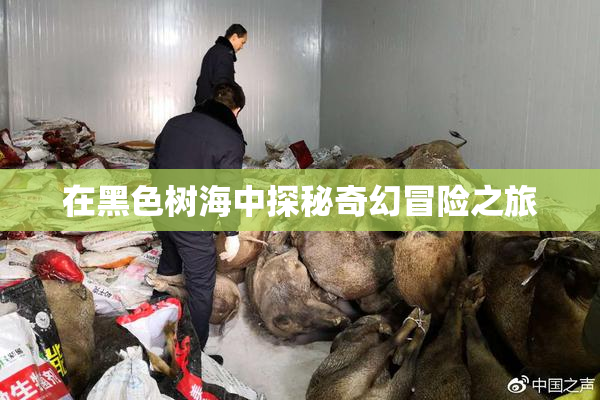 在黑色树海中探秘奇幻冒险之旅