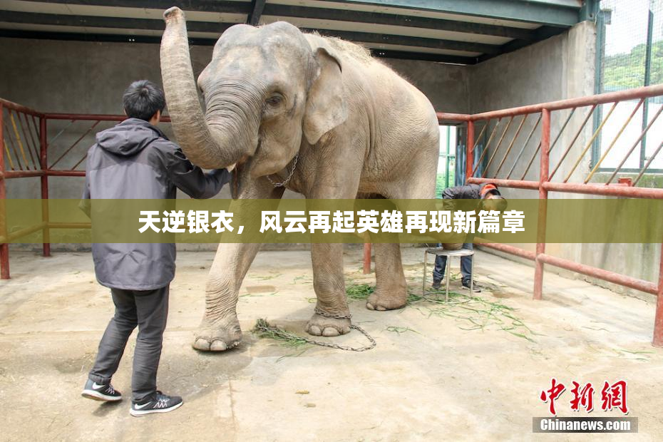 天逆银衣，风云再起英雄再现新篇章