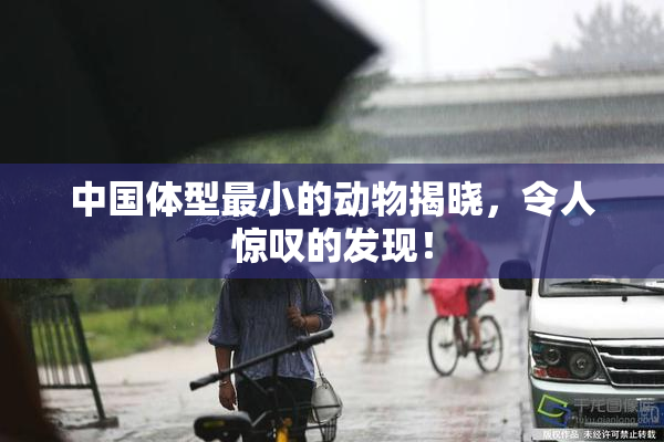 中国体型最小的动物揭晓，令人惊叹的发现！