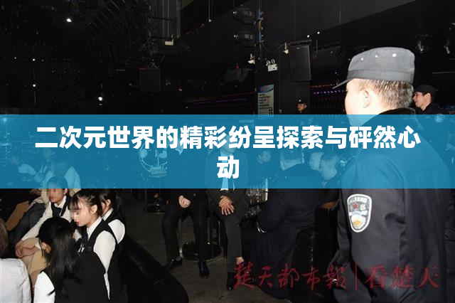 二次元世界的精彩纷呈探索与砰然心动