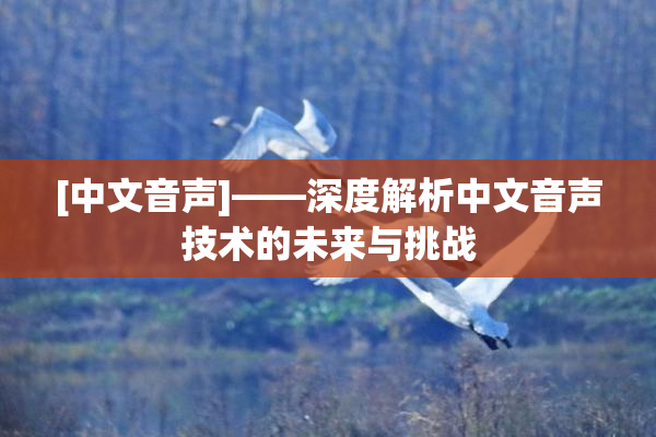 [中文音声]——深度解析中文音声技术的未来与挑战