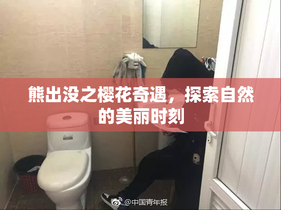 熊出没之樱花奇遇，探索自然的美丽时刻