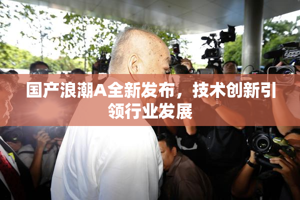 国产浪潮A全新发布，技术创新引领行业发展