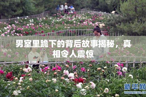 男室里跪下的背后故事揭秘，真相令人震惊