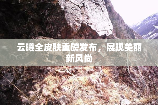云曦全皮肤重磅发布，展现美丽新风尚