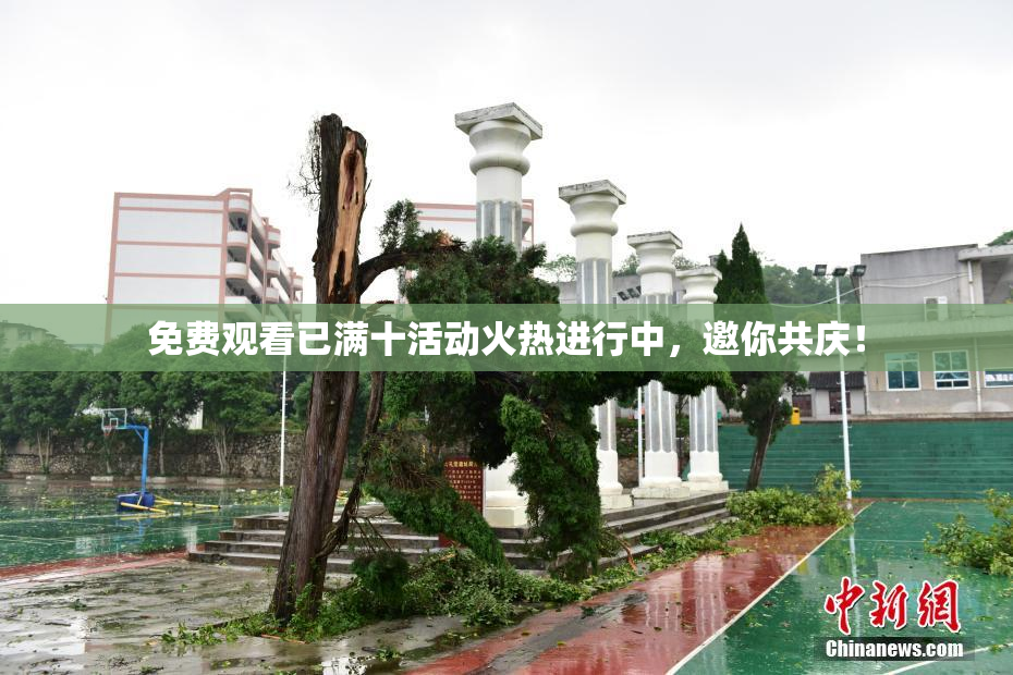 免费观看已满十活动火热进行中，邀你共庆！