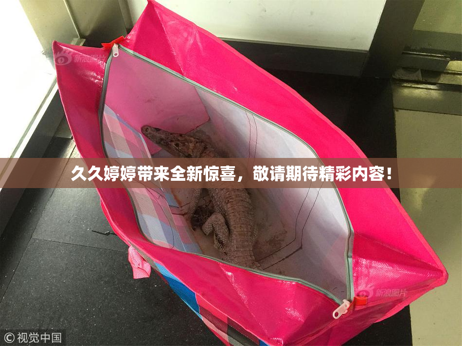 久久婷婷带来全新惊喜，敬请期待精彩内容！